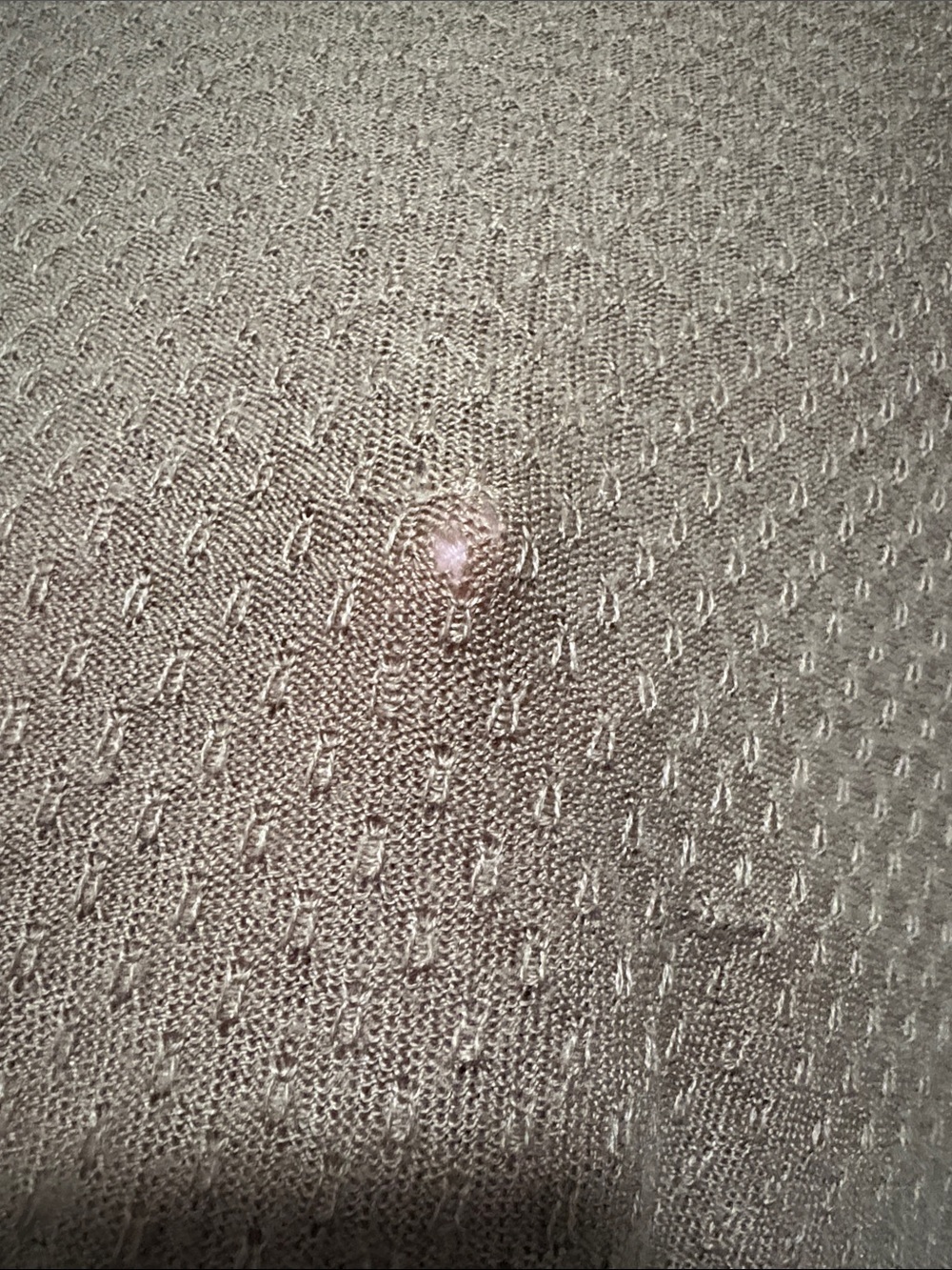 Ann taylor sweater - Picture 8 of 8